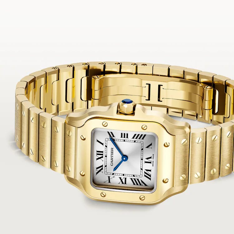 The Santos de Cartier