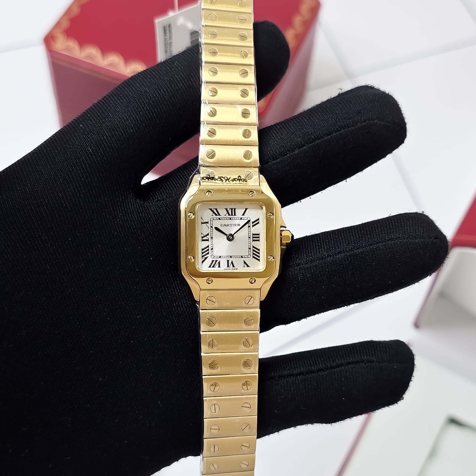 The Santos de Cartier